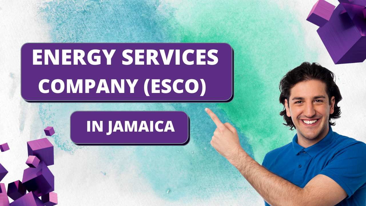 Energy Services Company (ESCO)